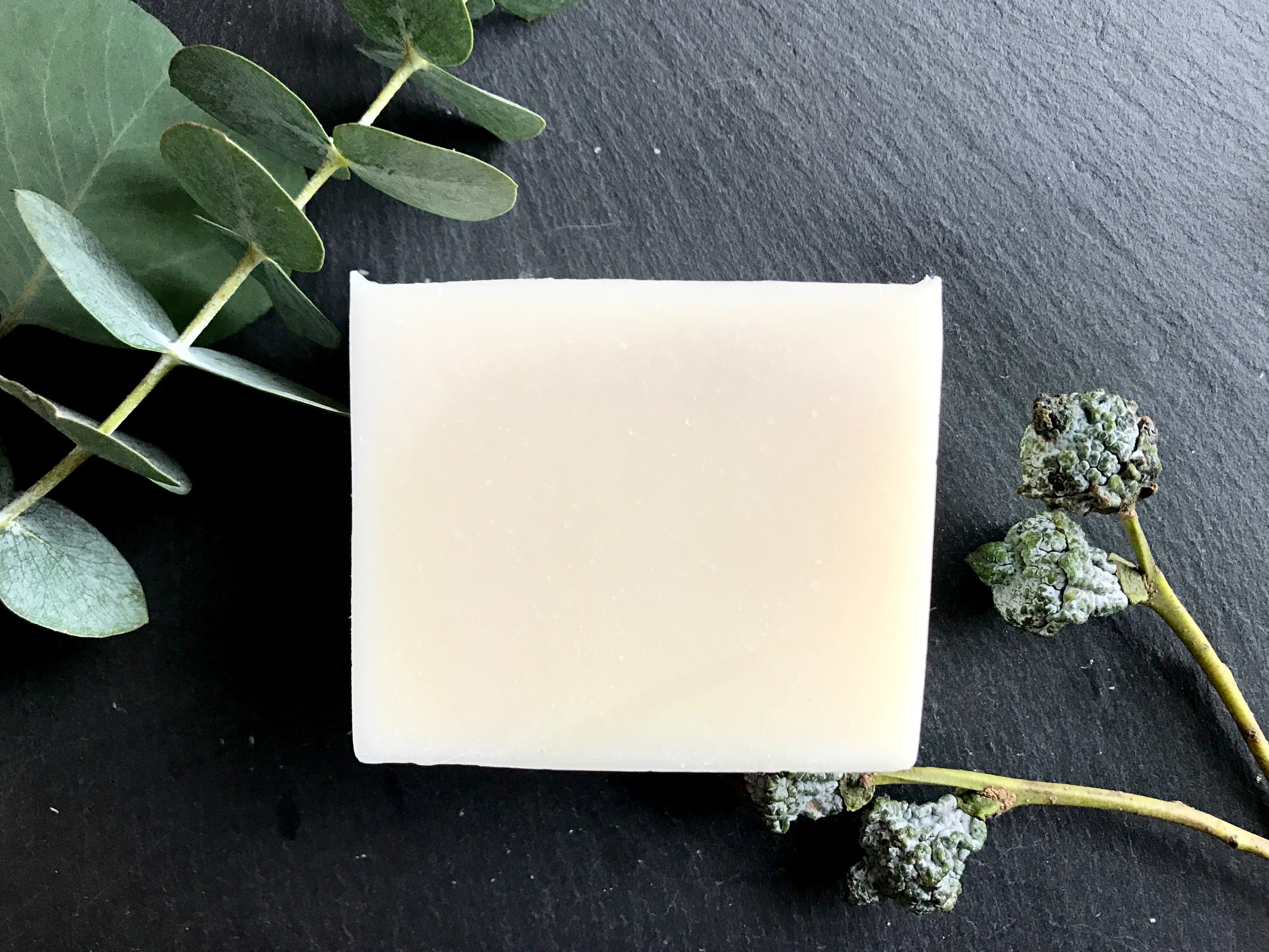 EUCALYPTUS MINT - Howard Soap Co. - Minnesota Made Herbal Skin Care + Candles